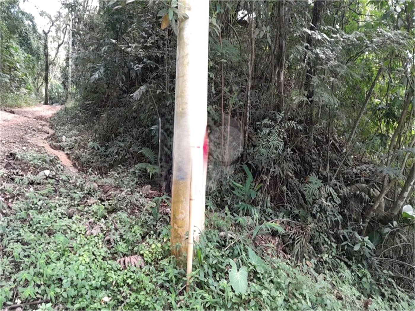 Terreno à venda em Serra da Cantareira, Mairiporã, SP