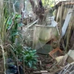 Terreno à venda com 1 quarto em Chora Menino, São Paulo, SP