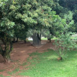 Casa à venda com 4 suítes em Jardim Residencial Santa Luiza, Atibaia, SP