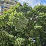 Apartamento à venda com 3 quartos em Tijuca, Rio de Janeiro, RJ