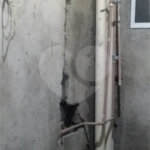 Sobrado à venda com 2 quartos, sendo 1 suíte, em Santa Teresinha, São Paulo, SP