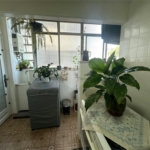 Cobertura à venda com 3 quartos, sendo 1 suíte, em Rio Comprido, Rio de Janeiro, RJ