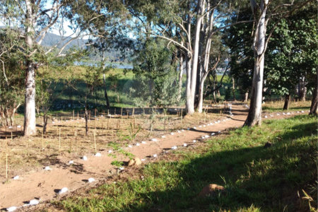 Chácara à venda com 4 quartos, sendo 1 suíte,  em Vila Dom Pedro, Atibaia, SP