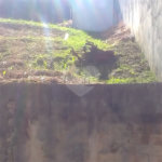 Terreno à venda em Jardim São Bento, São Paulo, SP