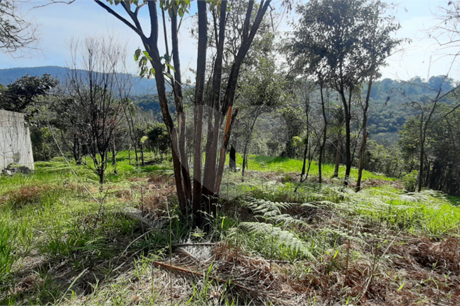 Terreno à venda em São Vicente, Mairiporã, SP