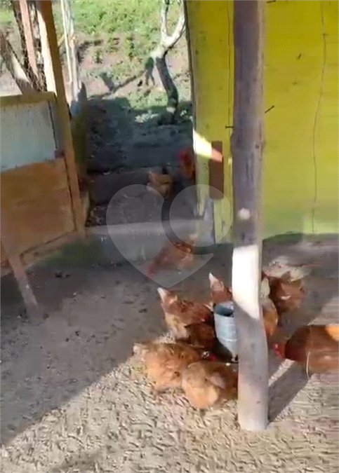 Chácara à venda com 3 quartos, sendo 1 suíte,  em Loteamento Jardim Nova Ibiúna, Ibiúna, SP