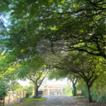 Terreno à venda no condomínio Parque dos Resedás, Itupeva - SP