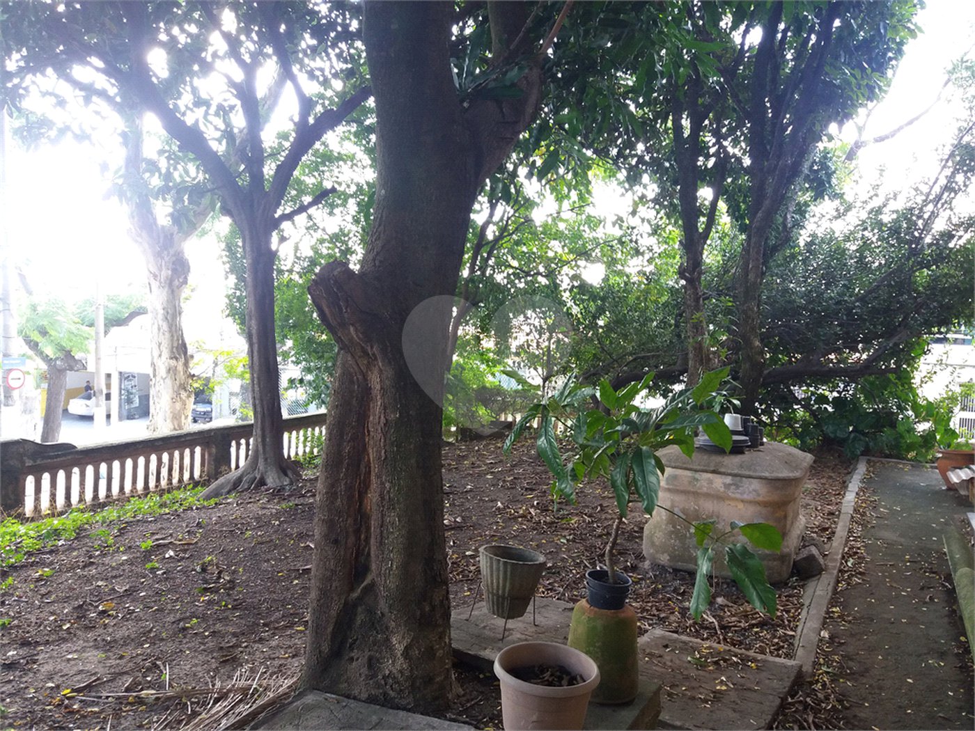Terreno à venda com 3 quartos em Vila Guilherme, São Paulo, SP