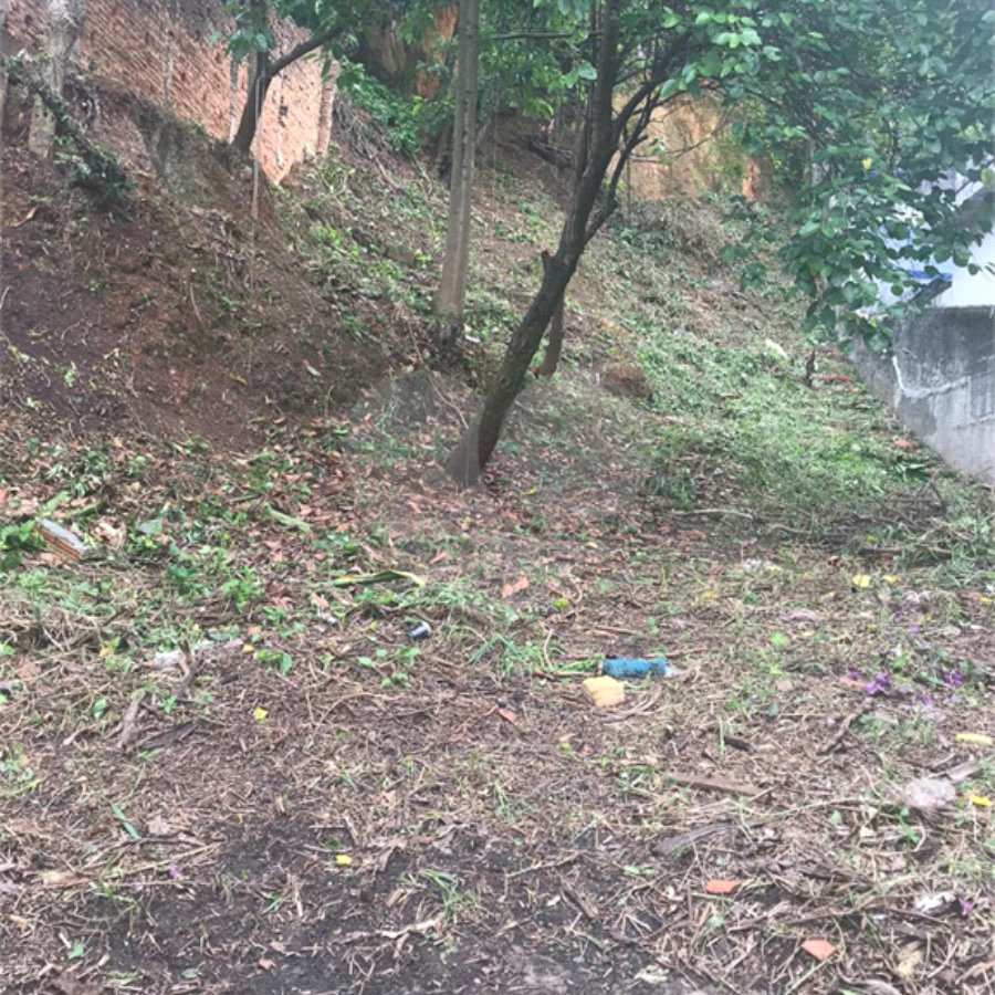 Terreno à venda em Vila Gustavo, São Paulo, SP