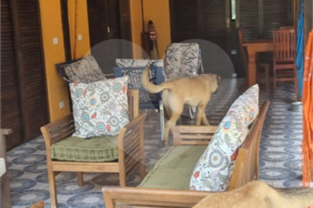 Casa Térrea à venda com 4 quartos, sendo 3 suítes, em Sertão do Piavu, São Sebastião, SP