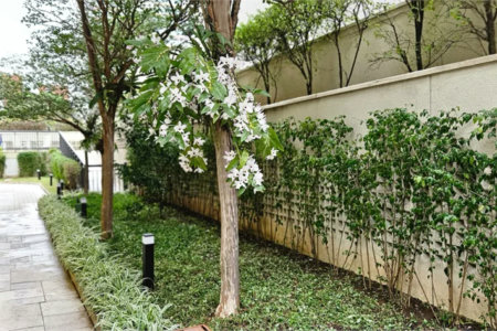 Apartamento à venda com 3 quartos, sendo 2 suítes, em Pinheiros, São Paulo, SP
