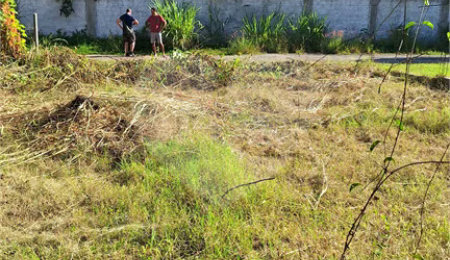Terreno à venda em Guaratiba, Rio de Janeiro, RJ