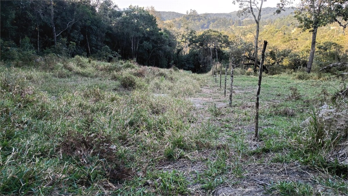 Terreno à venda em Vila Darcy Penteado (mailasqui), São Roque, SP