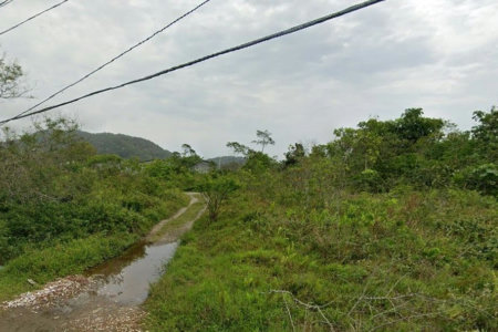 Terreno à venda, 10000 m² por R$ 8.500.000,00 - Cing - Guarujá/SP
