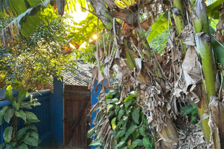 Casa à venda com 2 quartos em Tucuns, Armação dos Búzios, RJ