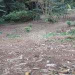 Terreno à venda em Jardim Ampliação, São Paulo, SP