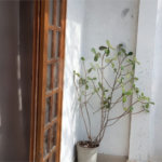 Casa à venda com 3 quartos, sendo 1 suíte,  em Jardim Valéria, Guarulhos, SP