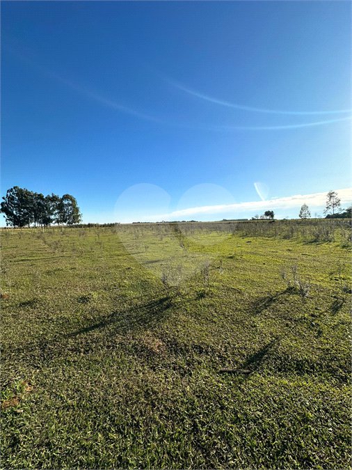 Terreno à venda em Sanga Puita, Ponta Porã, MS