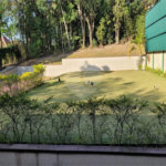 Casa à venda com 4 quartos, sendo 2 suítes, no condomínio Alpes da Cantareira, Mairiporã - SP