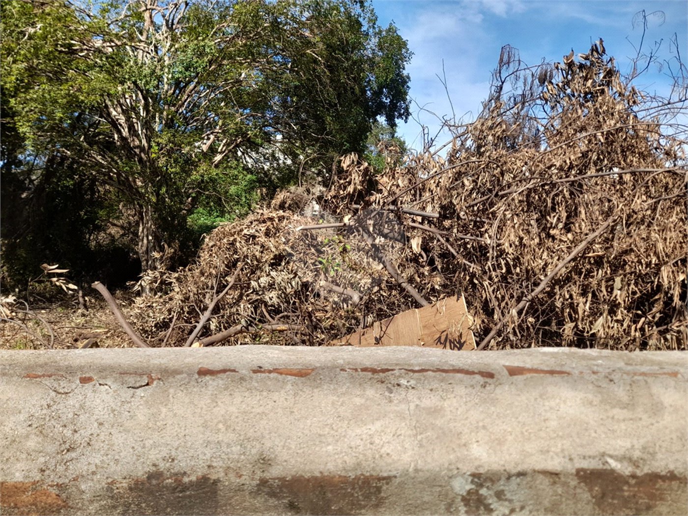 Terreno Comercial à Venda na Av. Teixeira de Barros – Rua Larga