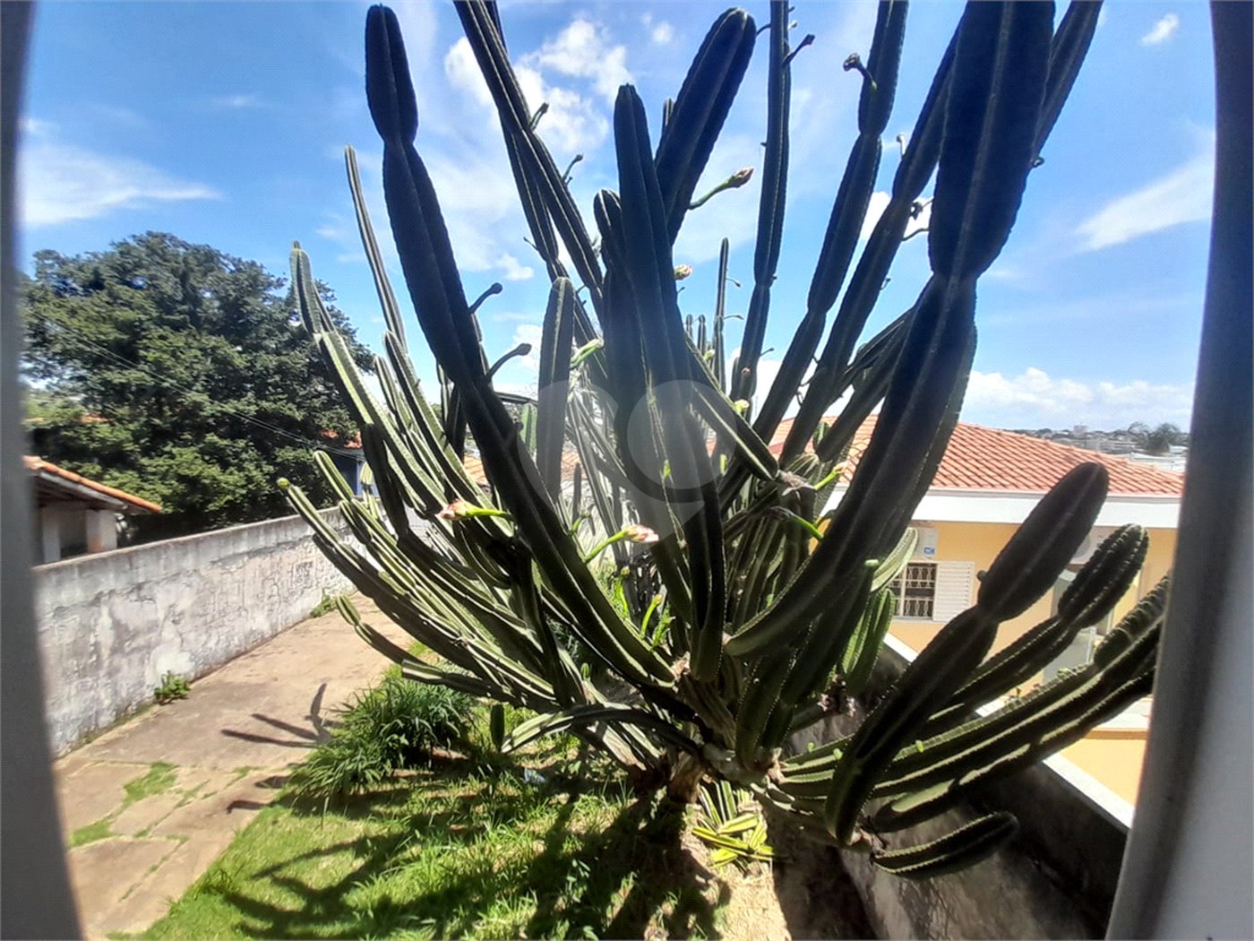 Casa à Venda na Rua Conde do Pinhal - São Carlos/SP