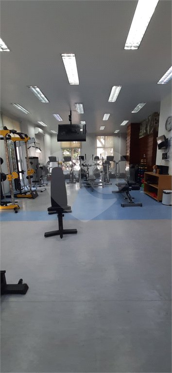 Apartamento à venda com 4 quartos, sendo 3 suítes, em Cambuci, São Paulo, SP