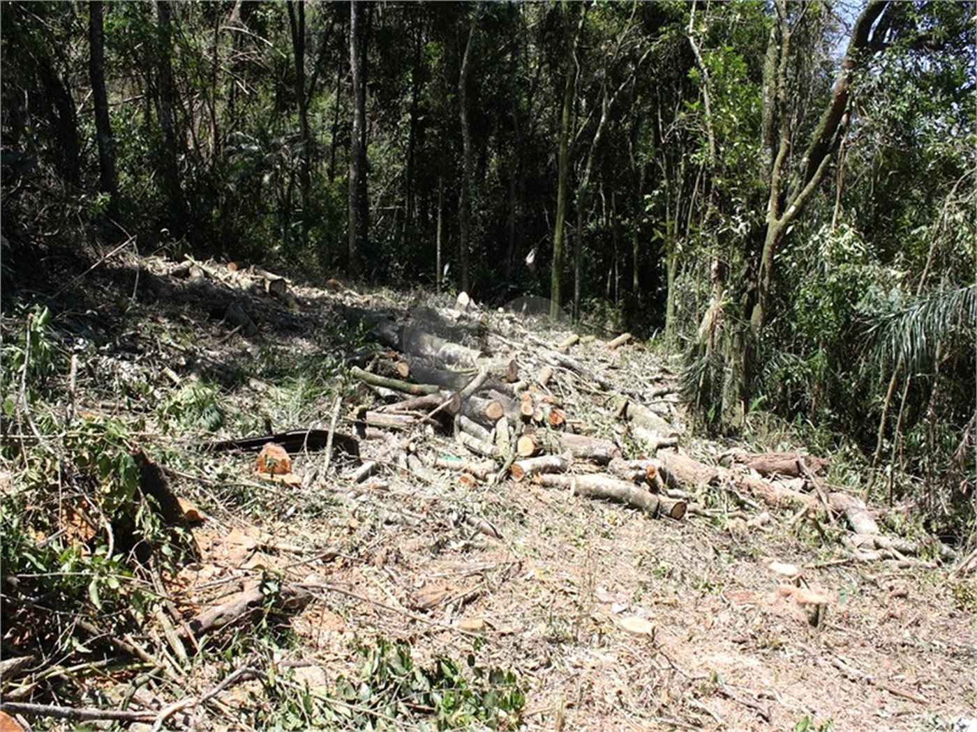 Terreno à venda em Serra da Cantareira, Mairiporã, SP