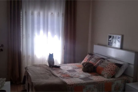 Casa à venda com 3 quartos em Vila Indiana, São Paulo, SP