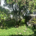 Casa à venda com 3 quartos, sendo 1 suíte,  em Tucuruvi, São Paulo, SP
