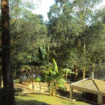 Apartamento à venda com 4 quartos, sendo 2 suítes, em Jardim Adhemar de Barros, São Paulo, SP