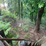 Casa à venda com 2 quartos, sendo 1 suíte, em Serra da Cantareira, Mairiporã, SP