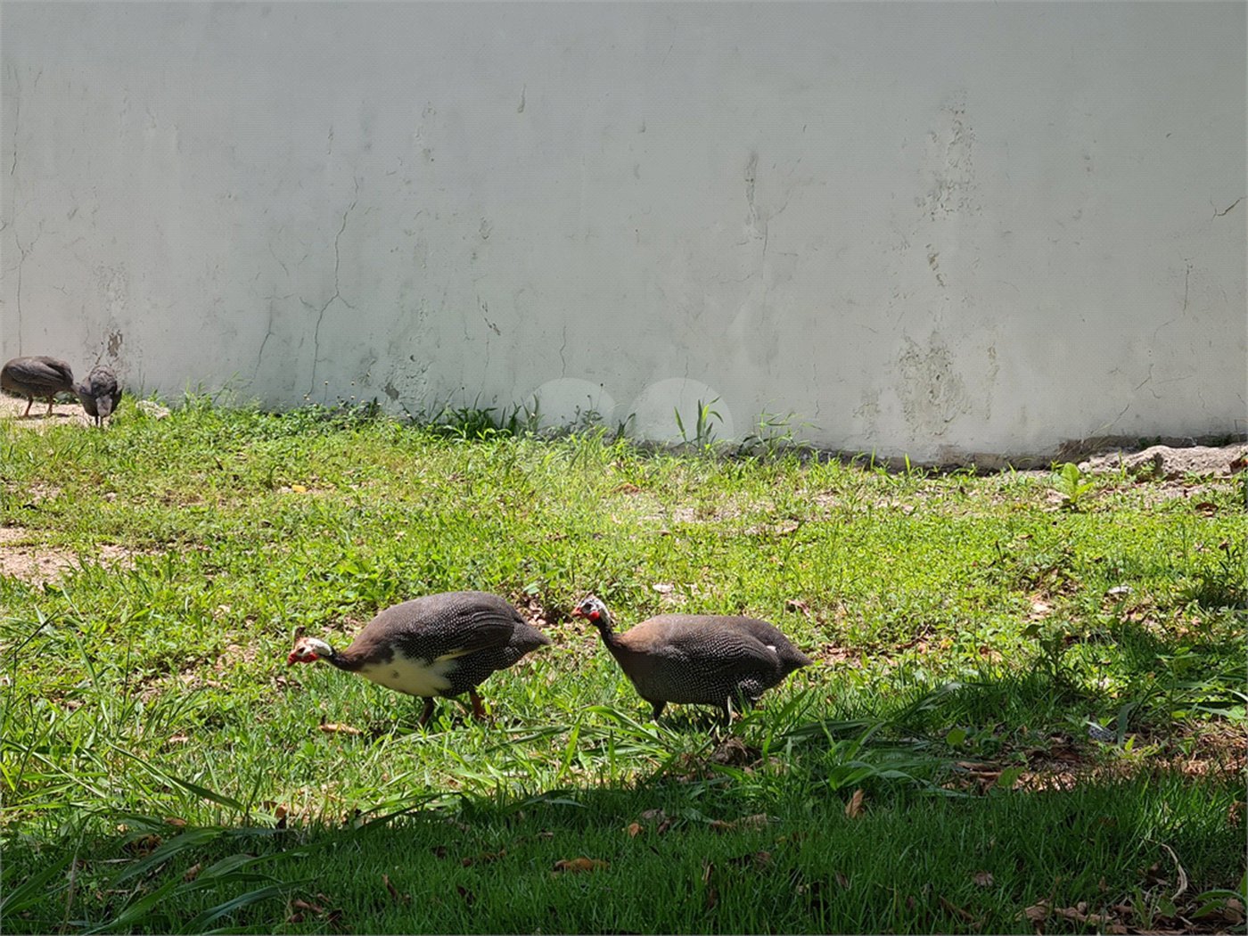 Terreno à venda no condomínio Renaissance, Sorocaba - SP