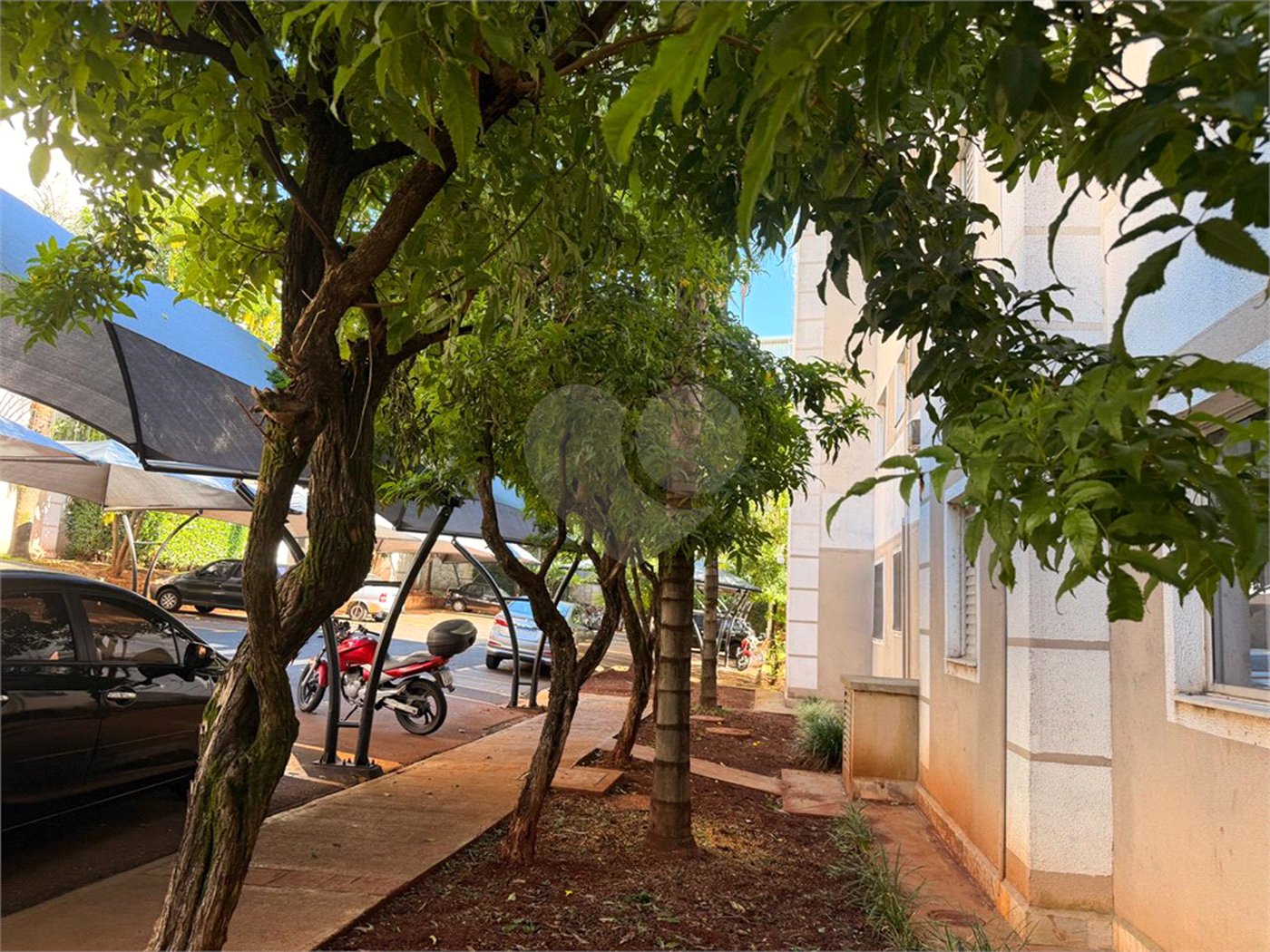 Apartamento à venda com 2 quartos em Vila Abranches, Ribeirão Preto, SP