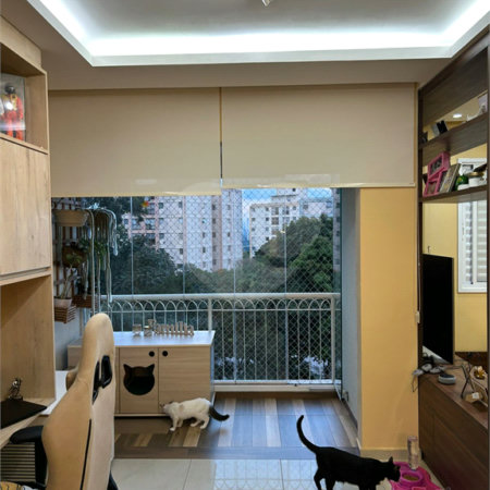 Apartamento à venda com 2 quartos, sendo 1 suíte, em Jaguaré, São Paulo, SP
