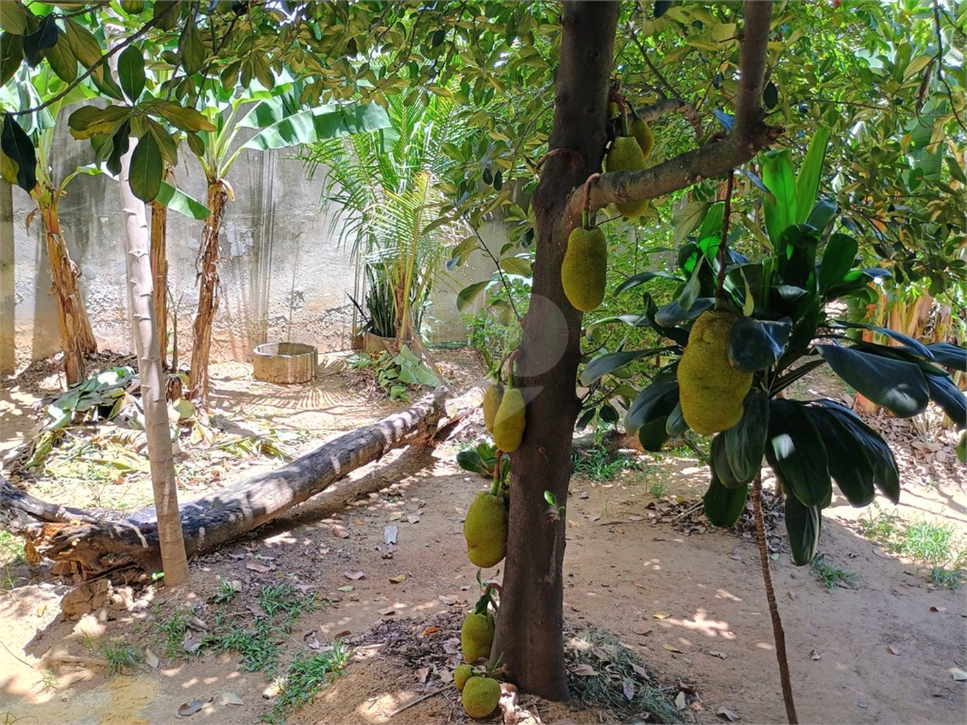 Casa à venda com 5 quartos em Senador Vasconcelos, Rio de Janeiro, RJ