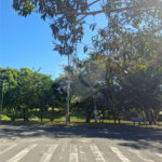 Terreno à venda em Jardim Europa II, Indaiatuba, SP