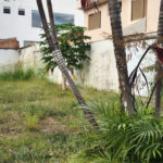 Terreno para alugar no Centro, Araraquara, SP