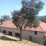 Sítio à venda com 1 quarto em Pirucaia, Mairiporã, SP