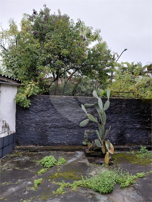 Casa Térrea à venda com 2 quartos em Tremembé, São Paulo, SP
