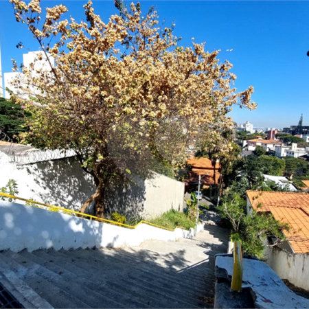 Casa à venda com 3 quartos em Sumarezinho, São Paulo, SP