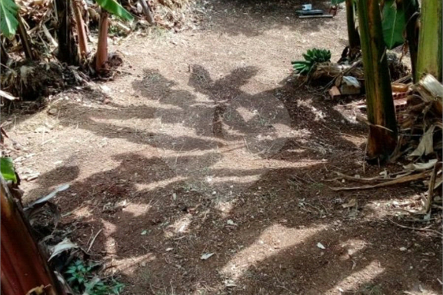 Terreno à venda em Freguesia do Ó, São Paulo, SP