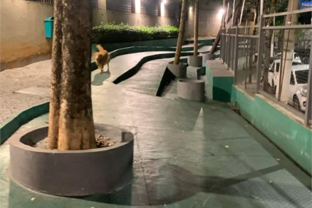 Apartamento à venda com 2 quartos em Parque Reboucas, São Paulo, SP