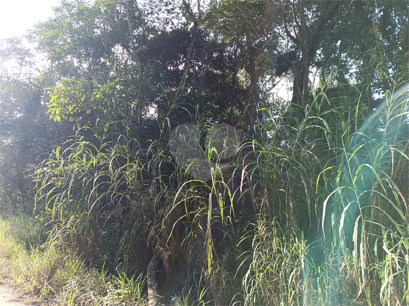 Terreno à venda em Caete (mailasqui), São Roque, SP