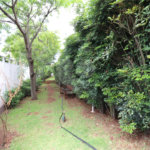 Apartamento à venda com 2 quartos, sendo 1 suíte, em Mandaqui, São Paulo, SP