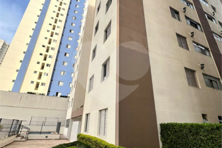Apartamento para alugar com 3 quartos em Vila Mascote, São Paulo, SP