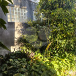 OPORTUNIDADE: Terreno à venda no Jardim Maristela com 250m2, 10 metros de frente!