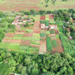 Terreno à venda em Jardim Itaú, Ribeirão Preto, SP