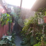 Sobrado à venda com 2 quartos, sendo 1 suíte, em Limão, São Paulo, SP