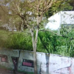 Terreno à venda ou para alugar no condomínio Giovanni Gronchi, São Paulo - SP