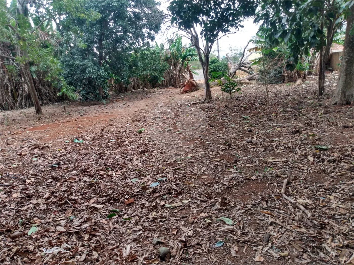 Terreno à venda em Vila Judite, Itapetininga, SP